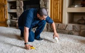 Eco carpet cleaning is in business since 2008. Eco Green Cleaning Northside Floor Care Phoenix