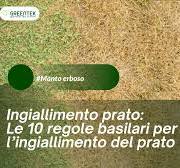Le cause dell'ingiallimento del prato - Greentek