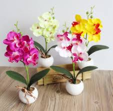 We did not find results for: Amenmo Decorative Flower Pots Planters Silk Artificial Flowers Orchid In Pots Fake Orchids Flower With Vase On The Table Artificial Flowers Orchid Flower Orchidsartificial Flowers Aliexpress