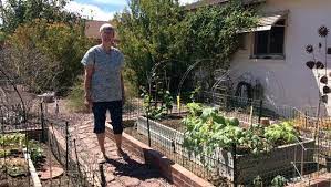 Water until the soil is soaked. 10 Tips For Arizona Spring Planting Season