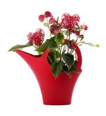 On a particular day, send a bouquet of flowers online with floweraura to express myriad emotions to your special one. 22 Send Beautiful Flowers Online To Germany Ideas Flowers Online Beautiful Flowers Flowers