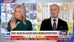 Stephen Miller Loses His Cool on Fox News: 'Absolute Moron'