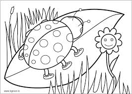 Desene de colorat cu primavara e pe placul furnicilor si a buburuzelor planse de colorat prim spring coloring sheets bug coloring pages insect coloring pages. Plansa De Colorat Cu Buburuza Primavara Planse De Colorat