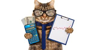 lustige tiere katze glaser krawatte taschenrechner geld buchhalter 3840x2160 uhd 4k hintergrundbilder hd bild lustige tiere katze glaser krawatte