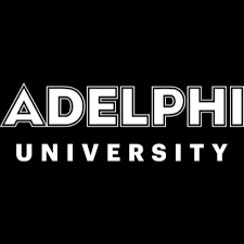 It has a transparent background, so it will lay nicely on top of any background you put it on. Adelphi University Nonprofit Digital Strategy Training Consulting Management Support By Tuttleco By Chris Tuttle