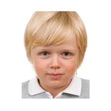 Victor Maxwell Email & Phone Number