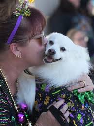 Brevard Humane Society Mardi Gras Paws in the Park in Cocoa Village