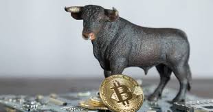 The last bull run occurred when there was a somewhat sudden craze similar to pokemon in the late 90's last year. Morgan Stanley Touts Bitcoin Altcoins Coinlist Me