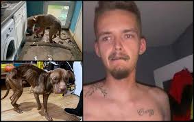🚩Repost with photo of Maddison Walsh the alleged owner of four skeletal  dogs kept imprisoned in horrific conditions in Altham Grove, #harlow, Essex  🚩 The severely malnourished dogs named Roc, Rudy, Rhylie