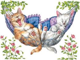 Kids Animal T Shirts And Wildlife T Shirts Cat Art Cat Artwork Cat Drawing