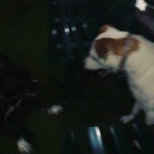 Daniel Scarr (@djscarr84) • Instagram photos and videos