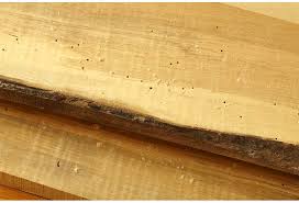 When zooming in, kind of looks like an ant body. Why Are There Tiny Powdery Holes In My Stacked Lumber Wood Magazine
