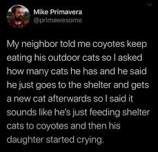 images?q=tbn:ANd9GcS0DfUl8Pu21DHGWWdM41l