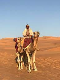 The unique al sahra desert resort is set amidst 37 million square feet of peaceful sand dunes and offers a wonderful experience when it comes to activities in the desert. Camel Rides Picture Of Qasr Al Sarab Desert Resort By Anantara Hamim Tripadvisor