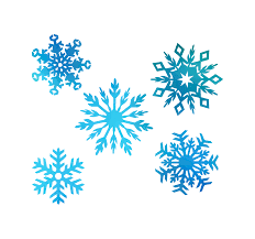 Download and use them in your website, document or presentation. Snowflake Cartoon 1500 1400 Transprent Png Free Download Blue Snowflake Snow Cleanpng Kisspng