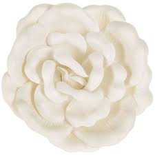 Maybe you would like to learn more about one of these? Soft White Flower Adhesive Wall Decor Large Hobby Lobby 80926680