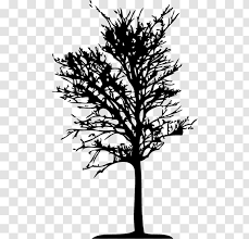 Check spelling or type a new query. Family Tree Silhouette Pine Blackandwhite Transparent Png