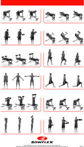 Bowflex Xceed Exercise Chart Bowflex Xceed Home Gym