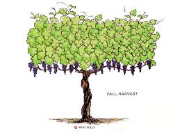 Image result for grape pruning