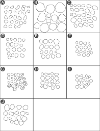 Image result for Andropogon fastigiatus