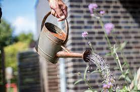 All unser herzblut & erfahrung fließt in jedes detail von der ersten idee bis hin zur planung und umsetzung. Pflanzen Im Sommer Richtig Giessen Und Pflegen Hagedorn Gartenbau Und Landschaftsbau Osnabruck Georgsmarienhutte