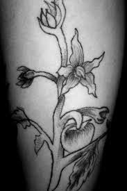 Strawberry vine tattoo black and white. Top 250 Best Tomato Tattoos August Tattoodo