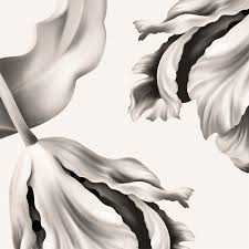 Twisting Tulips Wallpaper Wallpaper Floral Wallpaper Designer Wallpaper