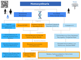 Image result for Homocystinuria