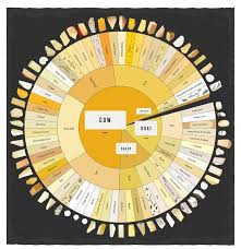 A Handy Guide To All The Different Types Of Cheeses Coolguides