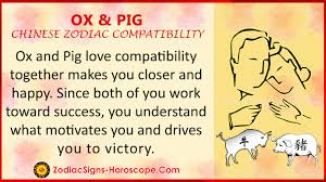 Ox And Pig Love Compatibility Relationship And Traits In Chinese Zodiac