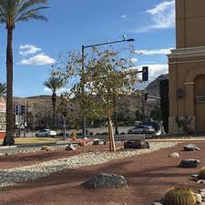 It was extremely hot out and regardless more. Palm Spring Tree Service