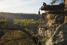 Whitetail deer, bear, beaver, fox, bobcats, just to name a few. Welcome To West Virginia Almost Heaven West Virginia Almost Heaven West Virginia