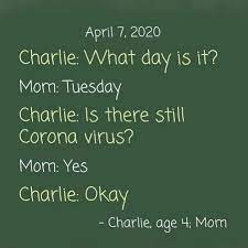 But being bitten makes you sicker. 27 Funny And Heartwarming Quotes From Kids In Coronavirus Lockdown Huffpost Life