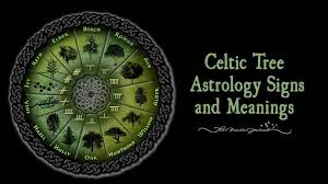 Which Celtic Tree Astrology Sign Are You