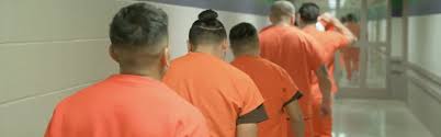 * only offenders who are currently incarcerated in a tdcj facility are included in the online search. Inmate Tracking Guardian Rfid