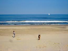 Maybe you would like to learn more about one of these? Meer Erlebnisse Die 5 Schonsten Strande Hollands Weltenkundler