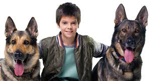 However, the actor who plays jaime is spectacular, and i sincerely can't. Inspector Max Sente Se Mal E Atrasa Gravacoes Da Serie Atualidade Sapo Mag