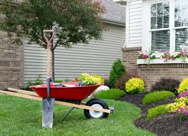 Building a flower beds around a tree can add a beautiful and neat appearance to learn which plants to grow under trees. 12 Best Tips For Landscaping Around Trees Bob Vila