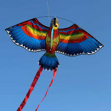 Pin On Kites Accessories