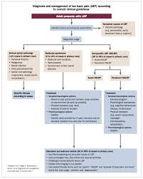Image result for Low Back Pain Management