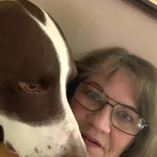 Alternative options for toddler and infant-friendly outdoor space