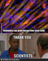 Pin On Science B Tch