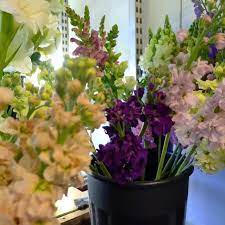 Specializing in wedding flowers, funeral flowers, fresh flower arrangements, birthday flowers, get well flowers, plants,fruit and gourmet baskets, roses, gifts, plush animals, balloons, chocolates & more! Latest Updates From Amanda S Flowers Facebook