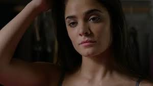 Acosada en la red (2016)