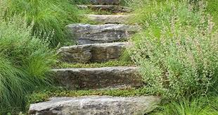 Tour A 1960s North Shore Home Updated For Family Living Cottages Gardens Cottage Garden Garden Garden Paths