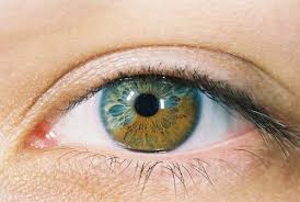 Pin By Kubra Onaran On I Ve Got My Eye On You Heterochromia Eyes Multi Colored Eyes Heterochromia