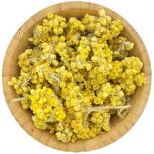 Image result for Helichrysum nitens