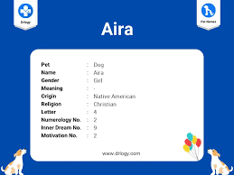 Image result for Aira