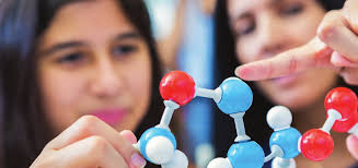 Annual Report Annual Report 2019