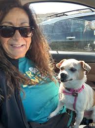 Hiking with dogs after becoming unemployed